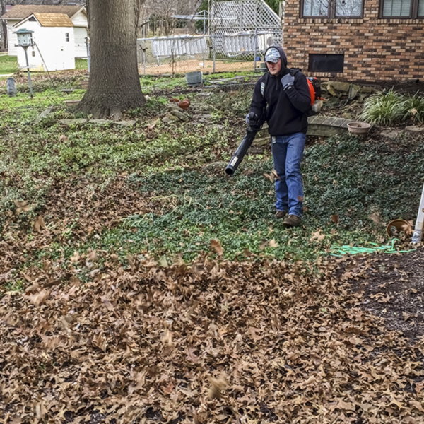 Clearing Leaves